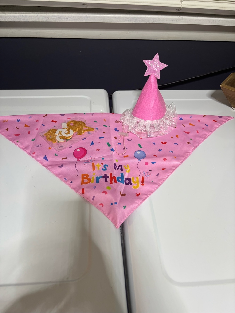 Pink โItโs My Birthdayโ Party Bandana and Star Cone Hat